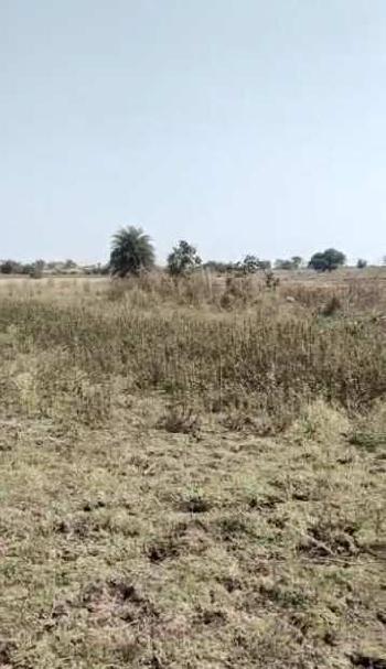 25 Acre Agricultural/Farm Land For Sale In Vikarabad