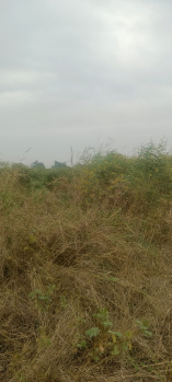 38 Acre Agricultural/Farm Land for Sale in Tandur, Vikarabad