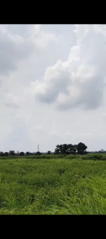 22 Acre Agricultural/Farm Land for Sale in Tandur, Vikarabad