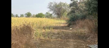 Agricultural/Farm Land for Sale in Sedam, Gulbarga (100 Acre)