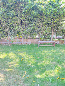 Property for sale in Sector 125 Mohali