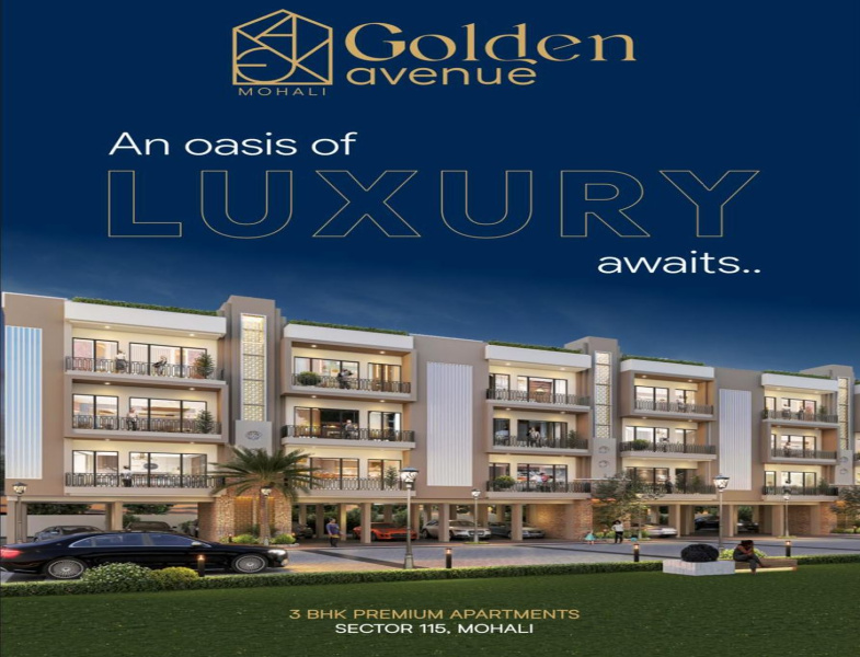 3 BHK Flats & Apartments for Sale in Sector 115, Mohali