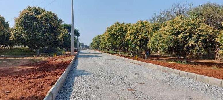 DTCP approved layout with beautiful MANGO trees