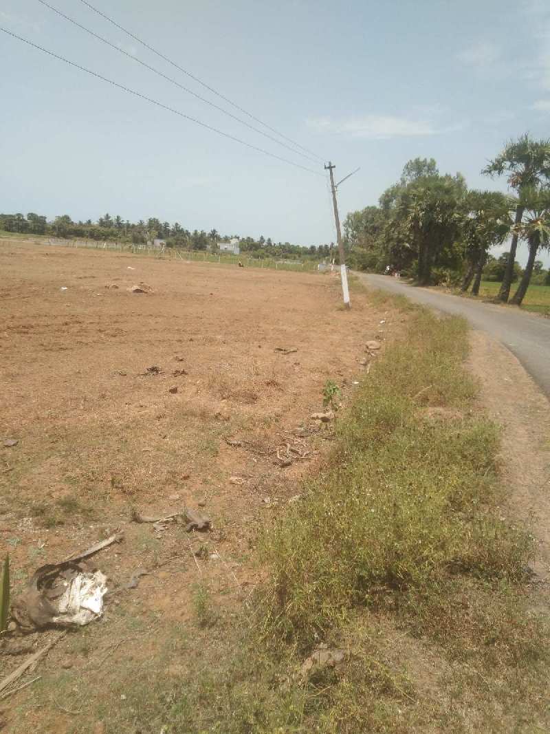 7 Acre Agricultural/Farm Land for Sale in Lathur, Kanchipuram