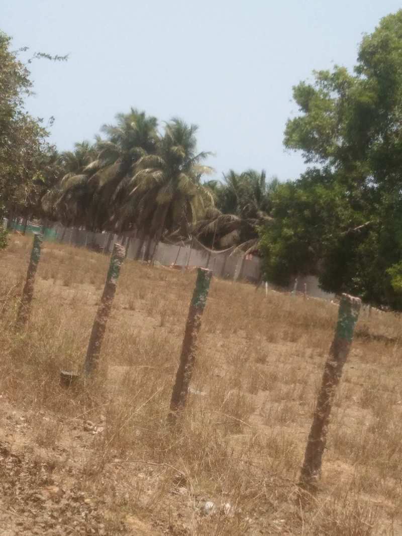 75 Cent Agricultural/Farm Land for Sale in Cheyyar, Kanchipuram