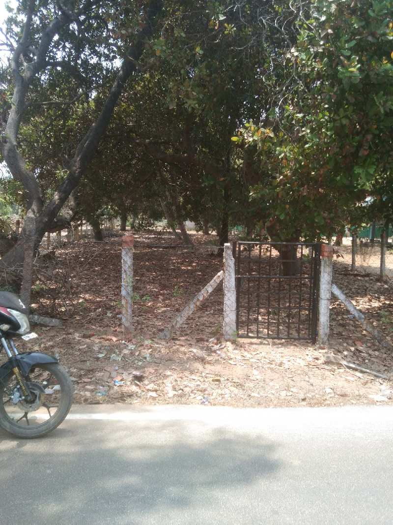 20 Cent Agricultural/Farm Land for Sale in Chengalpattu, Chennai