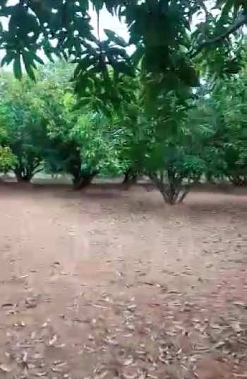 36 Acre Agricultural/Farm Land for Sale in Ecr To Marakanam Road, Chennai