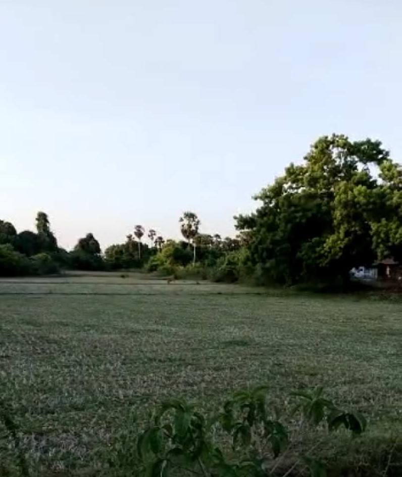 2 Acre Agricultural/Farm Land for Sale in Thiruporur, Chennai