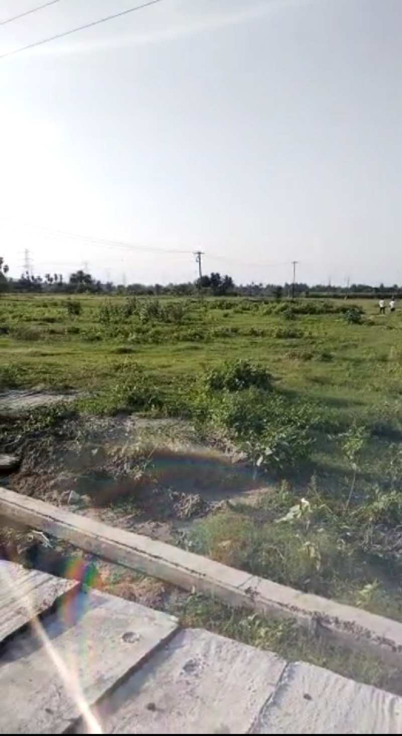 10 Acre Agricultural/Farm Land for Sale in Walajapet, Vellore
