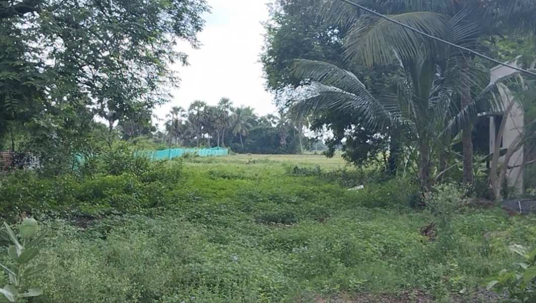 2 Acre Agricultural/Farm Land for Sale in Chengalpattu, Kanchipuram