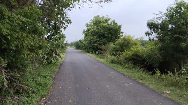 45 Acre Agricultural/Farm Land for Sale in Enathur, Kanchipuram