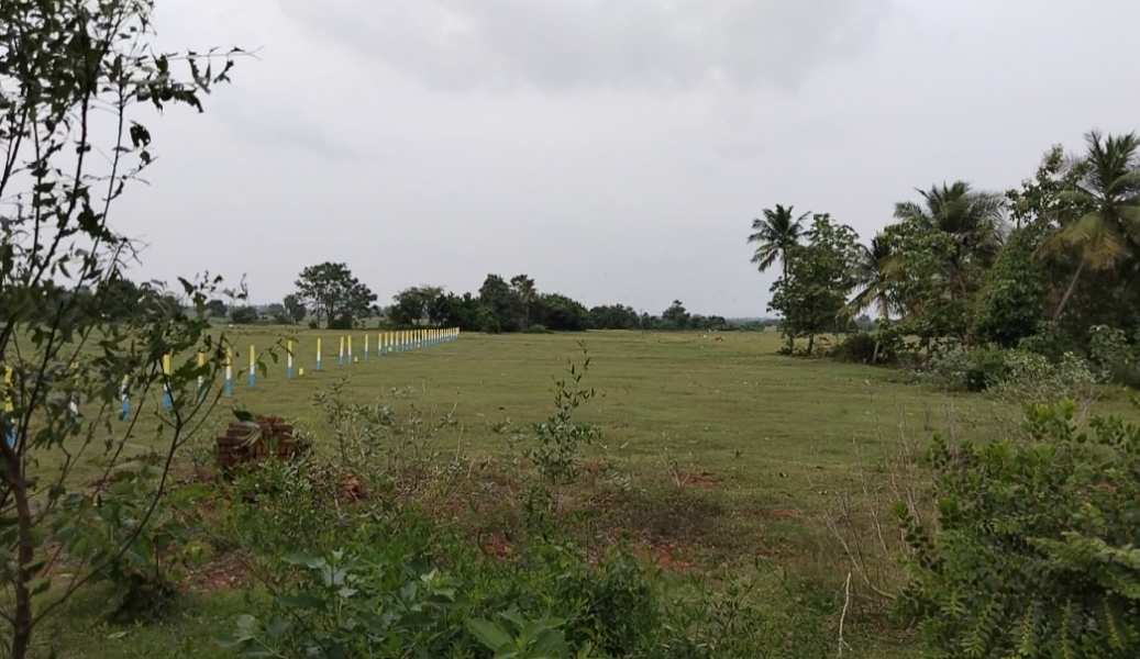 45 Acre Agricultural/Farm Land for Sale in Enathur, Kanchipuram