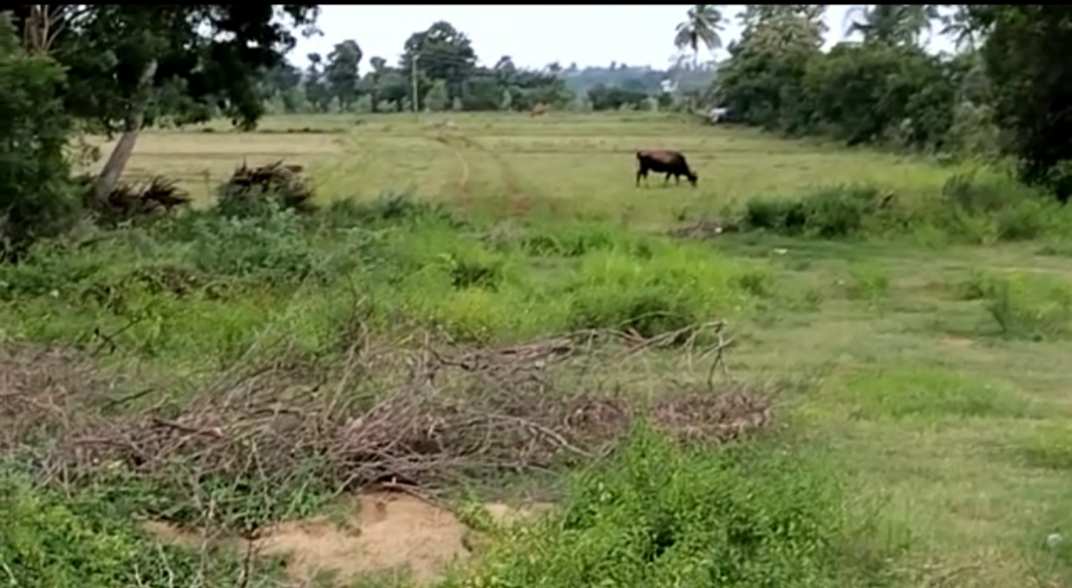 20 Acre Agricultural/Farm Land for Sale in Madurantakam, Kanchipuram