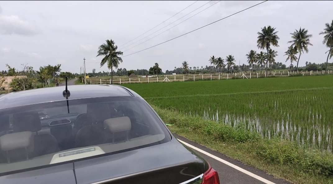 6.5 Acre Agricultural/Farm Land for Sale in Kattupakkam, Chennai