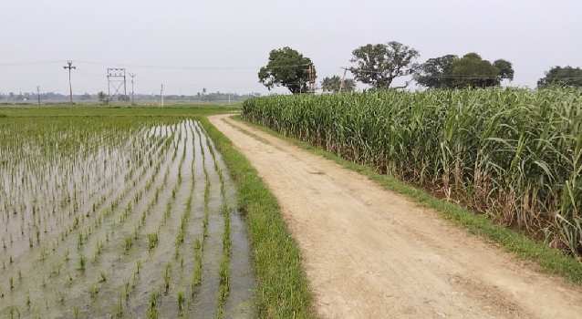 3 Acre Agricultural/Farm Land for Sale in Lathur, Kanchipuram