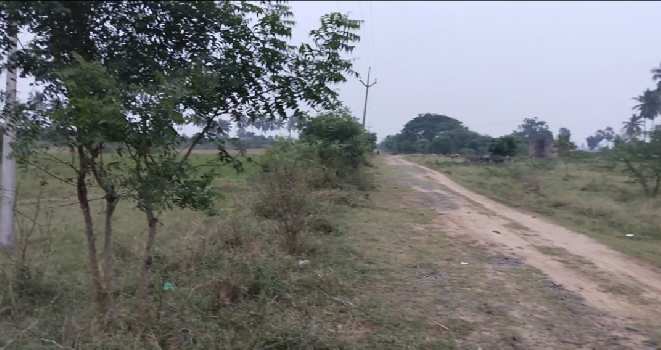 1 Acre Agricultural/Farm Land for Sale in Chengalpattu, Kanchipuram