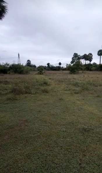 6 Acre Agricultural/Farm Land for Sale in Uthramerur, Chennai