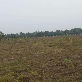 7 Acre Agricultural/Farm Land for Sale in Cheyyar, Kanchipuram