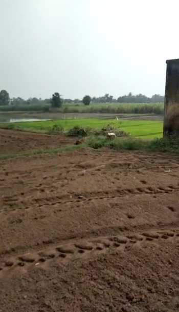 2.80 Acre Agricultural/Farm Land for Sale in Uthiramerur, Kanchipuram