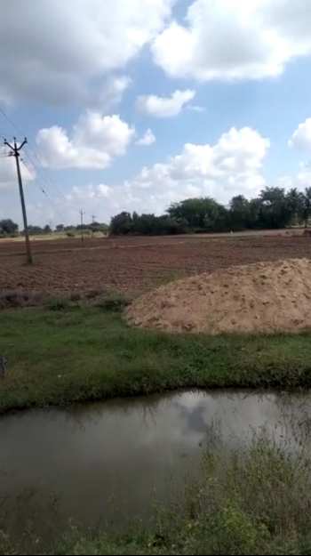 3.50 Acre Agricultural/Farm Land for Sale in Uthiramerur, Kanchipuram