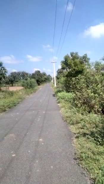 5 Acre Agricultural/Farm Land for Sale in Kanchipuram, Chennai, Chennai