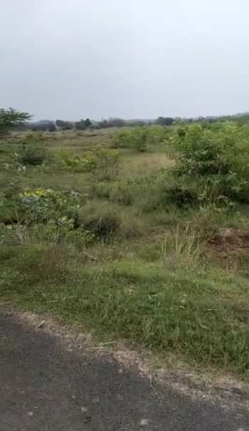 9 Acre Agricultural/Farm Land for Sale in Vandavasi, Tiruvannamalai