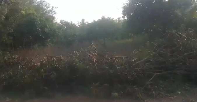 20 Cent Agricultural/Farm Land for Sale in Koovathur, Kanchipuram