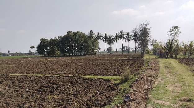 2.5 Acre Agricultural/Farm Land for Sale in Acharapakkam, Chennai