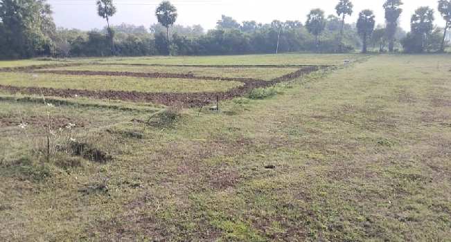 2.5 Acre Agricultural/Farm Land for Sale in Madurantakam, Kanchipuram