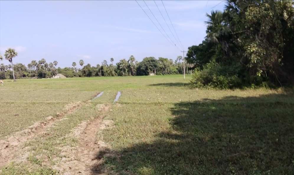 2.5 Acre Agricultural/Farm Land for Sale in Enathur, Kanchipuram