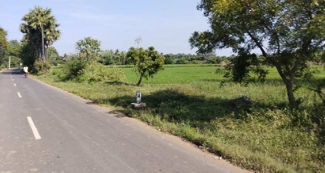 25 Acre Agricultural/Farm Land for Sale in Tamil Nadu