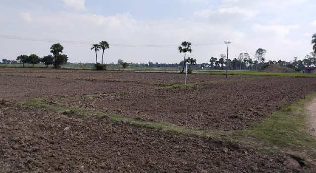 10 Acre Agricultural/Farm Land for Sale in Chengalpattu, Chennai