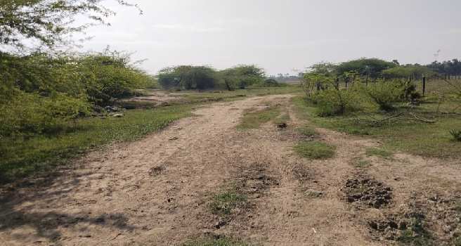 4 Acre Agricultural/Farm Land for Sale in Cheyyar, Tiruvannamalai