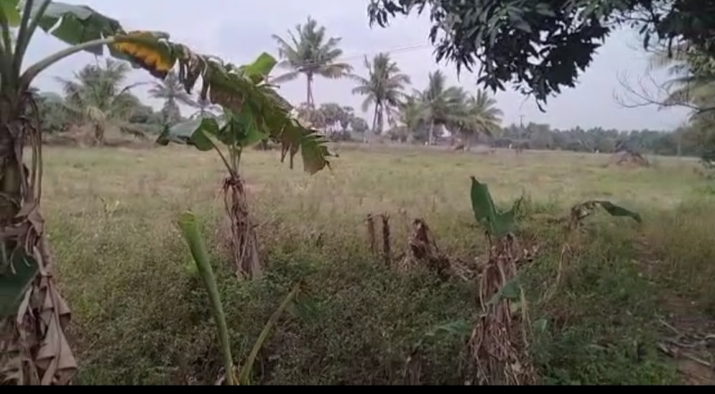 5.5 Acre Agricultural/Farm Land for Sale in Acharapakkam, Chennai