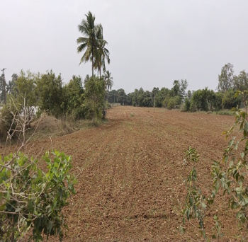 2.5 Acre Agricultural/Farm Land for Sale in Madurantakam, Chennai