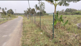 3.25 Acre Agricultural/Farm Land for Sale in Madurantakam, Kanchipuram