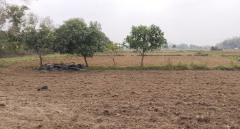 3.80 Acre Agricultural/Farm Land for Sale in Kolathur, Chennai
