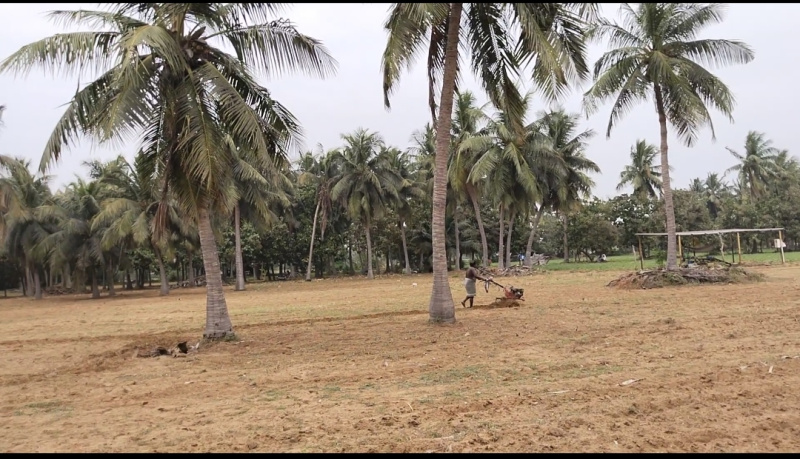 12 Acre Agricultural/Farm Land for Sale in Kunnathur, Kanchipuram