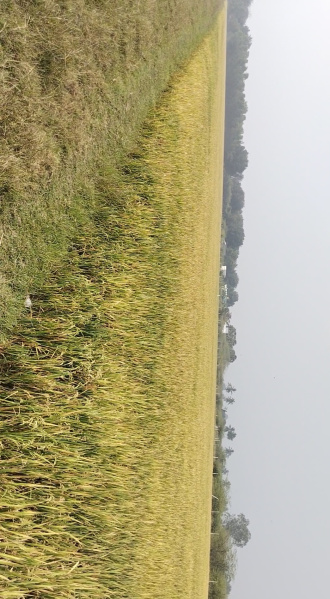 5.20 Acre Agricultural/Farm Land for Sale in Madambakkam, Chennai