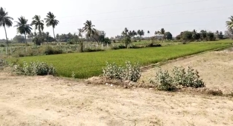 4 Acre Residential Plot for Sale in Bangalore Highway, Chennai
