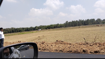 70 Cent Agricultural/Farm Land for Sale in Chengalpet, Chennai