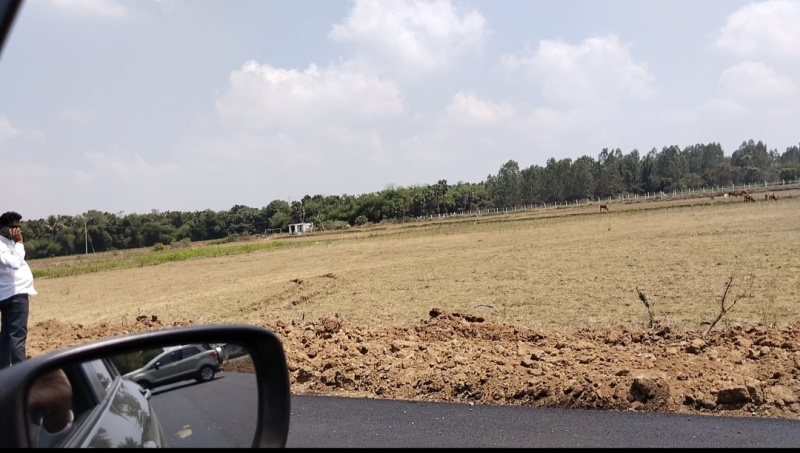70 Cent Agricultural/Farm Land for Sale in Chengalpattu, Chennai