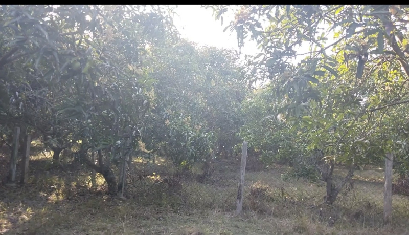 20 Cent Agricultural/Farm Land for Sale in Kalpakkam, Kanchipuram