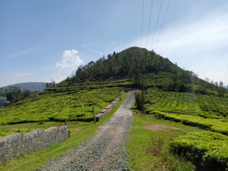 570 Acre Agricultural/Farm Land for Sale in Coonoor, Ooty
