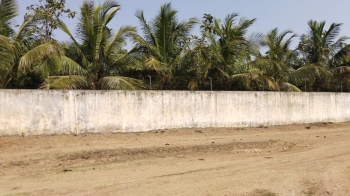 1.5 Acre Agricultural/Farm Land for Sale in Mahabalipuram, Chennai
