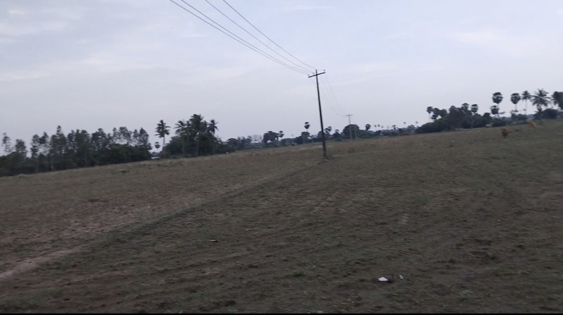 4 Acre Agricultural/Farm Land for Sale in Tamil Nadu
