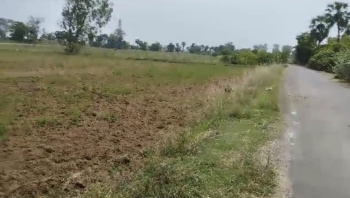13 Acre Agricultural/Farm Land for Sale in Tamil Nadu