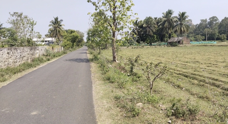 5 Acre Agricultural/Farm Land for Sale in Thirukalukundram, Kanchipuram
