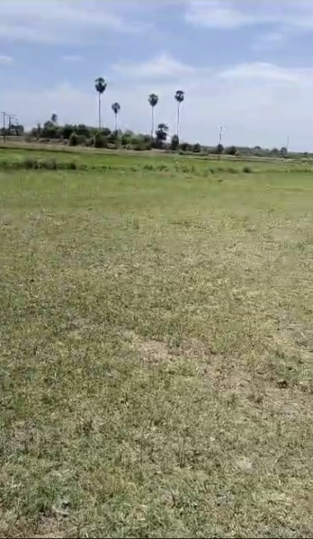 1.5 Acre Agricultural/Farm Land for Sale in Tamil Nadu