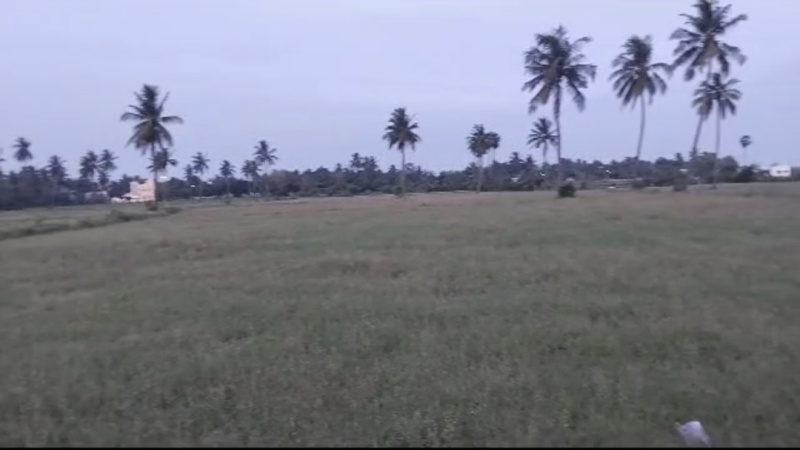 11 Acre Agricultural/Farm Land for Sale in Tamil Nadu